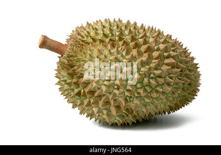 Durian-König der Früchte, die isoliert auf weiss Stockfoto