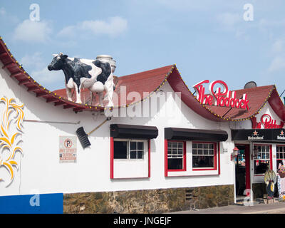 Die Paddock-Kuh auf dem Dach, West Indies Aruba Oranjestadt Bar Cafe Stockfoto