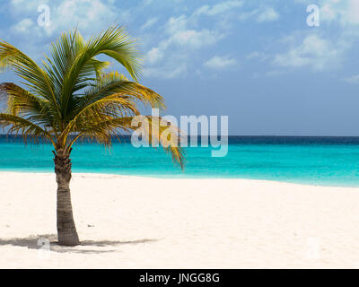 Single Palm Tree am Strand in der Karibik Stockfoto