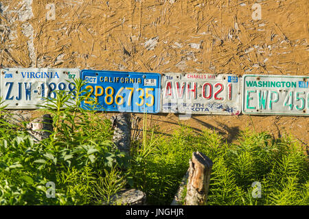 Alte Nummernschilder auf einer Holzwand, Altstadt, Homer, Alaska, USA Stockfoto