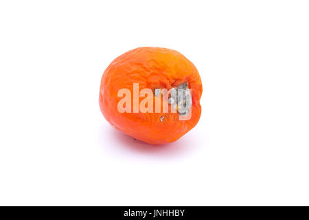 Faule Tomaten isoliert auf weißem Hintergrund Stockfoto