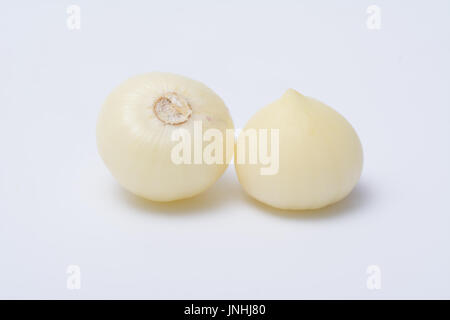 Knoblauch oder Allium Ampeloprasum var. Ampeloprasum isoliert auf weißem Hintergrund Stockfoto