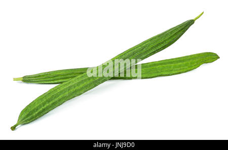 Luffa Acutangula isoliert auf weißem Hintergrund. Stockfoto