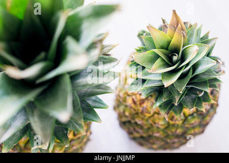 Ananas oder Ananas auf weißem Hintergrund Detailansicht selektiven Fokus Stockfoto