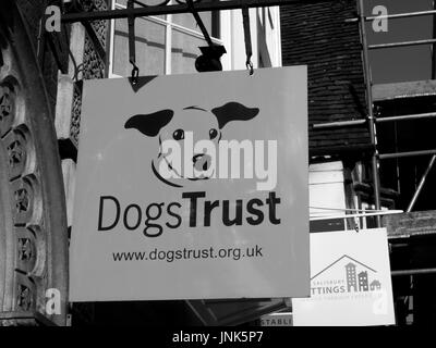 Hund Vertrauen Tierische Liebe Schild über Gewerbeeinheit, früher bekannt als National Canine Defence League, Tierschutz Nächstenliebe und humane society Stockfoto