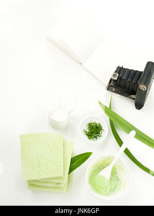 Pandanus Blätter Mischer Lebensmittel für gesunde Pflege Lebensstil Stockfoto