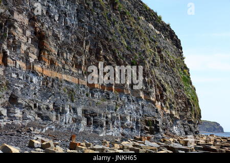 Öl Lager schiefer Felswand der Jurassic Coast und Küstenlinie mit massiven gefallen Kalkstein Blocks östlich von Kimmeridge Bay, Dorset UK gestreut Stockfoto