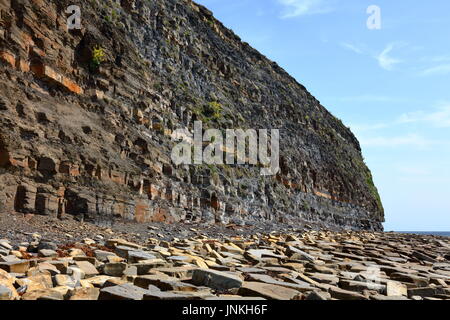 Öl Lager schiefer Felswand der Jurassic Coast und Küstenlinie mit massiven gefallen Kalkstein Blocks östlich von Kimmeridge Bay, Dorset UK gestreut Stockfoto