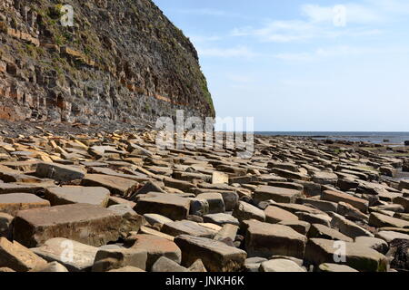 Öl Lager schiefer Felswand der Jurassic Coast und Küstenlinie mit massiven gefallen Kalkstein Blocks östlich von Kimmeridge Bay, Dorset UK gestreut Stockfoto