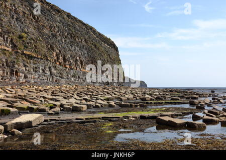 Öl Lager schiefer Felswand der Jurassic Coast und Küstenlinie mit massiven gefallen Kalkstein Blocks östlich von Kimmeridge Bay, Dorset UK gestreut Stockfoto