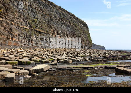 Öl Lager schiefer Felswand der Jurassic Coast und Küstenlinie mit massiven gefallen Kalkstein Blocks östlich von Kimmeridge Bay, Dorset UK gestreut Stockfoto