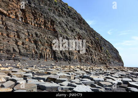 Öl Lager schiefer Felswand der Jurassic Coast und Küstenlinie mit massiven gefallen Kalkstein Blocks östlich von Kimmeridge Bay, Dorset UK gestreut Stockfoto