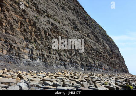 Öl Lager schiefer Felswand der Jurassic Coast und Küstenlinie mit massiven gefallen Kalkstein Blocks östlich von Kimmeridge Bay, Dorset UK gestreut Stockfoto