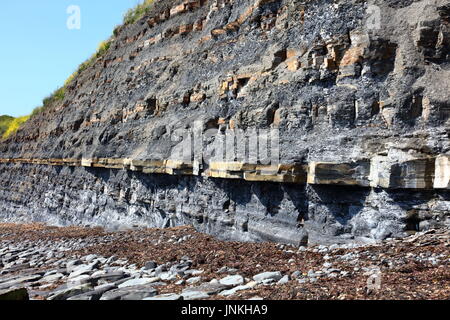 Öl Lager schiefer Felswand der Jurassic Coast und der Küste bei Kimmeridge Bay, Dorset UK Stockfoto