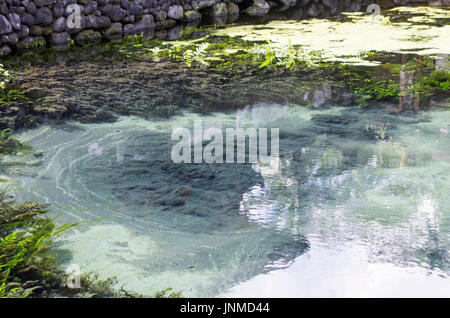 Sulphurate Schwefel mir unter Wasser, Bali, Udud Stockfoto