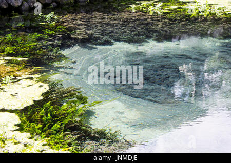 Sulphurate Schwefel mir unter Wasser, Bali, Udud Stockfoto