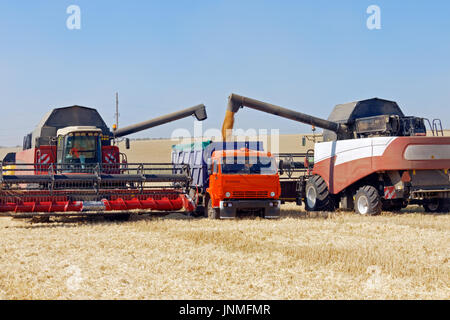 Harvester Ladung Weizen im LKW zum Zeitpunkt der Ernte an einem sonnigen Sommertag zu kombinieren Stockfoto