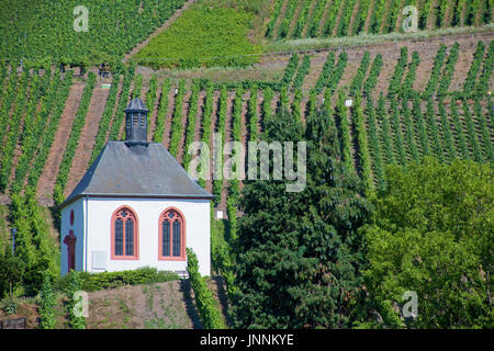 Kesselstattkapelle in Den Weinbergen Bei Kinheim, Mittelmosel, Rheinland-Pfalz, Landkreis Bernkastel-Wittlich, Deutschland, Europa | Kesselstatt Ortblech Stockfoto