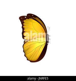 Schmetterling gelb isoliert auf weißem Hintergrund Stock Vektor