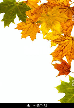 Herbst Blätter Hintergrund Stockfoto