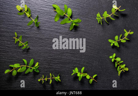 flach legen Zweige frische grüne Zitrone Melissa Officinalis auf schwarzem Schiefer Stein Hintergrund Stockfoto