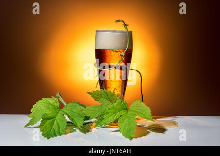 dunklem Glas Bier mit Zweig des Hopfens auf hellem Hintergrund, Nahaufnahme Stockfoto