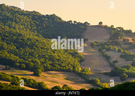 BAGNO VIGNONI, Italien - 23. Juli 2017 - die Natur in der Nähe der kleinen Dorf Bagno Vignoni in Val d ' Orcia. Stockfoto