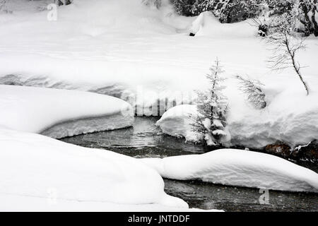 Engen gewundenen Fluss oder Bach fließt zwischen Banken mit viel Schnee im Wald bedeckt. Bewölkten Tag mit Schnee bedeckt. Stockfoto