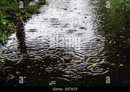 Harter Regen fällt auf eine Pfütze Stockfoto