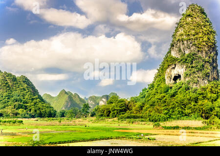 Blick auf Karst Landschaft und Reis Felder von Guilin in China Stockfoto