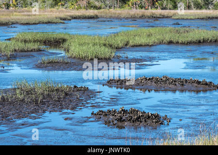 Gezeiten Marsh bei Flut Ansichten zu erhalten auf den Intracoastal Waterway in Atlantic Beach, Florida. (USA) Stockfoto