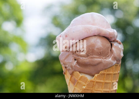 Eis in der Waffel schmelzen. Verschwommene Bäume auf Grund Stockfoto