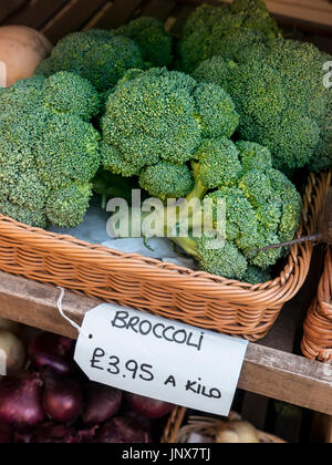 Frische Bio Broccoli auf dem Display mit Kilo Preisschild im Weidenkorb zum Verkauf in einem britischen Bio Gemüse-Bauern-Markt Stockfoto