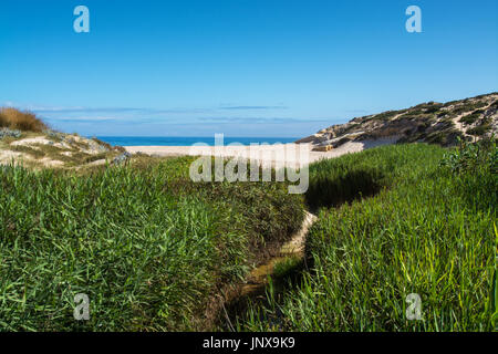 Obidos, Portugal. 26. Juni 2017. del Rei Strand in Obidos.  Obidos, Portugal. Foto: Ricardo Rocha. Stockfoto