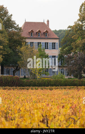 Aloxe Corton, Côte de Beaune, Burgund, Frankreich - 11. Oktober 2015: Château Corton-Andre in der Côte de Beaune und die umliegenden Weinberge im Herbst. Stockfoto