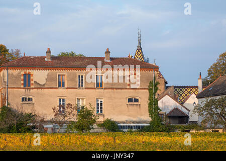 Aloxe Corton, Côte de Beaune, Burgund, Frankreich - 11. Oktober 2015: Château Corton-Andre in der Côte de Beaune und die umliegenden Weinberge im Herbst. Stockfoto