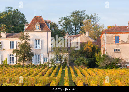 Aloxe Corton, Côte de Beaune, Burgund, Frankreich - 11. Oktober 2015: Château Corton-Andre in der Côte de Beaune und die umliegenden Weinberge im Herbst. Stockfoto