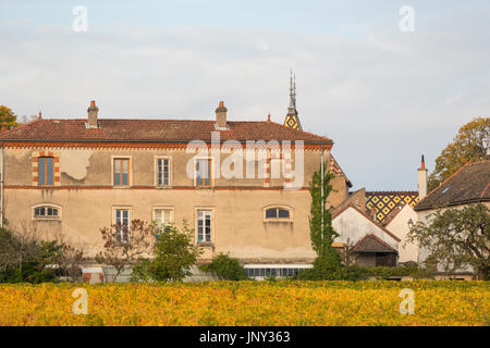 Aloxe Corton, Côte de Beaune, Burgund, Frankreich - 11. Oktober 2015: Château Corton-Andre in der Côte de Beaune und die umliegenden Weinberge im Herbst. Stockfoto