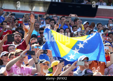 Gillette Stadium. 30. Juli 2017. MA, USA; Fans jubeln in ihren Teams während der ersten Hälfte des internationalen Champions Cup Match zwischen Juventus FC und AS Roma im Gillette Stadium. Juventus Turin besiegt Roma 2: 1. Anthony Nesmith/Cal Sport Media/Alamy Live-Nachrichten Stockfoto