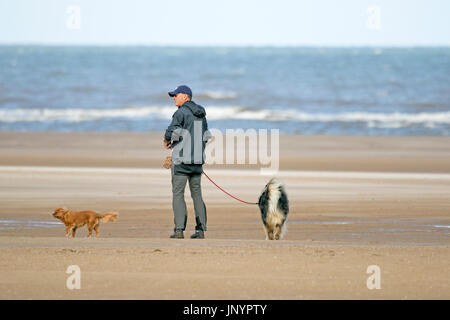 Southport, Merseyside, 23. Juli 2017. Großbritannien Wetter.   Ein schönen sonniger Start in den Tag über der Nordwestküste Englands als Hundebesitzer üben ihre geliebten Haustiere auf dem goldenen Sand von Southport Strand in Merseyside.  Ein unruhiger Tag von heavy Rain mit einigen Teils sonnig wird voraussichtlich dauern den ganzen Tag.  Bildnachweis: Cernan Elias/Alamy Live-Nachrichten Stockfoto