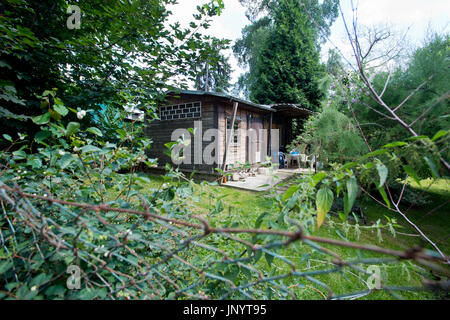 Prag, Tschechische Republik. 21. Juli 2017. Gartenarbeit-Kolonie in Libensky Insel, Prag, Tschechien am 21. Juli 2017. Bildnachweis: Vit Simanek/CTK Foto/Alamy Live-Nachrichten Stockfoto