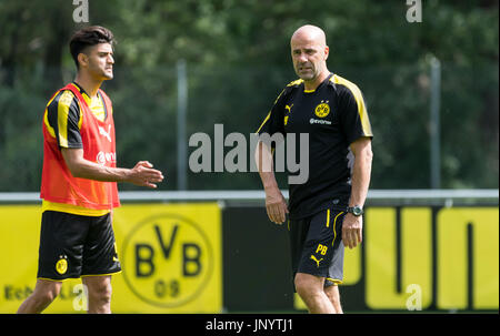 Bad Ragaz, Schweiz. 31. Juli 2017. Dortmunds Trainer Peter Bosz gibt seine Spieler Mahmoud Dahoud Anweisungen während der Trainingslager der deutschen Fußball-Club Borussia Dortmund in Bad Ragaz, Schweiz, 31. Juli 2017. Foto: Guido Kirchner/Dpa/Alamy Live News Stockfoto