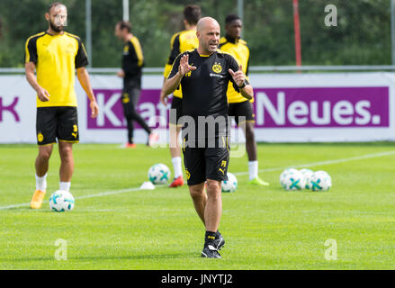 Bad Ragaz, Schweiz. 31. Juli 2017. Dortmunds Trainer Peter Bosz gibt seinen Spielern Anweisungen während der Trainingslager der deutschen Fußball-club Borussia Dortmund in Bad Ragaz, Schweiz, 31. Juli 2017. Foto: Guido Kirchner/Dpa/Alamy Live News Stockfoto