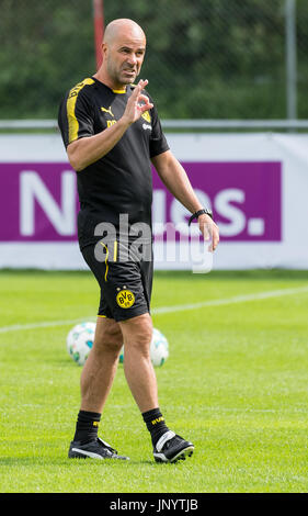 Bad Ragaz, Schweiz. 31. Juli 2017. Dortmunds Trainer Peter Bosz gibt seinen Spielern Anweisungen während der Trainingslager der deutschen Fußball-club Borussia Dortmund in Bad Ragaz, Schweiz, 31. Juli 2017. Foto: Guido Kirchner/Dpa/Alamy Live News Stockfoto