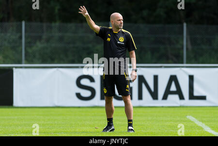 Bad Ragaz, Schweiz. 31. Juli 2017. Dortmunds Trainer Peter Bosz gibt seinen Spielern Anweisungen während der Trainingslager der deutschen Fußball-club Borussia Dortmund in Bad Ragaz, Schweiz, 31. Juli 2017. Foto: Guido Kirchner/Dpa/Alamy Live News Stockfoto