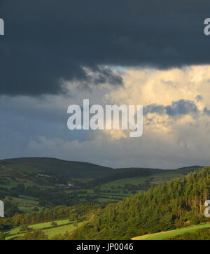 Aberystwyth, Wales, UK. 31. Juli 2017. Großbritannien Wetter. Kredit-schwere Wolke und starken Regen Duschen Kontrast mit Abendsonne über die Cambrian Mountains West Wales - John Gilbey/Alamy Live News - 31. Juli 2017: John Gilbey/Alamy Live News Stockfoto