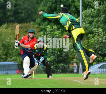 Luton, Großbritannien. Juli 31, 2017. Bedfordshire, Großbritannien. Internationale Cricketers XI spielen gegen Luton Pakistanis bei Wardown Park in Luton, Bedfordshire, Großbritannien. Stockfoto