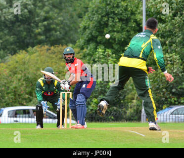 Luton, Großbritannien. Juli 31, 2017. Bedfordshire, Großbritannien. Internationale Cricketers XI spielen gegen Luton Pakistanis bei Wardown Park in Luton, Bedfordshire, Großbritannien. Stockfoto