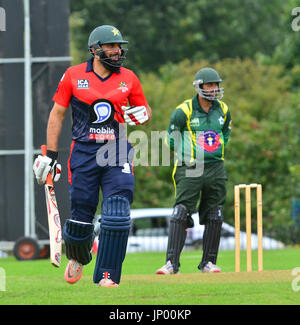 Luton, Großbritannien. Juli 31, 2017. Bedfordshire, Großbritannien. Internationale Cricketers XI spielen gegen Luton Pakistanis bei Wardown Park in Luton, Bedfordshire, Großbritannien. Stockfoto