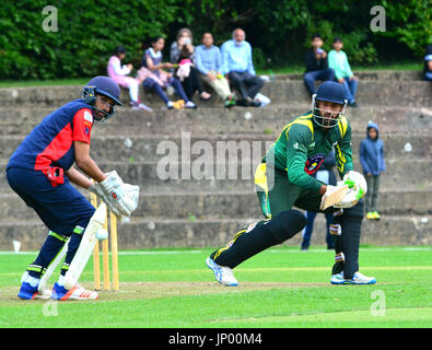 Luton, Großbritannien. Juli 31, 2017. Bedfordshire, Großbritannien. Internationale Cricketers XI spielen gegen Luton Pakistanis bei Wardown Park in Luton, Bedfordshire, Großbritannien. Stockfoto